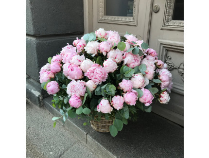 Peonijas Rīgā