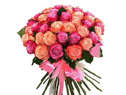 Krā&scaron;ņās rozes