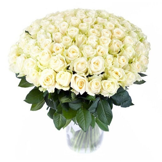 101 белая роза