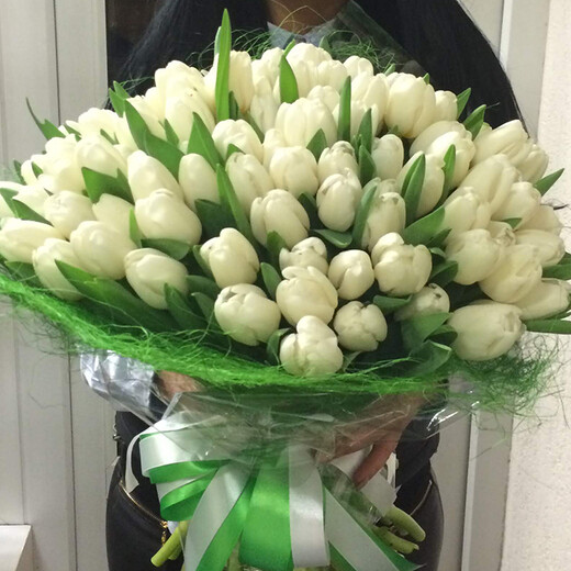 101 balta tulpe