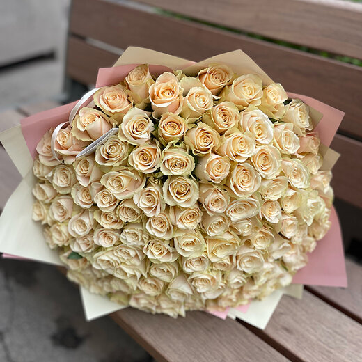 101 krēmkrāsas roze