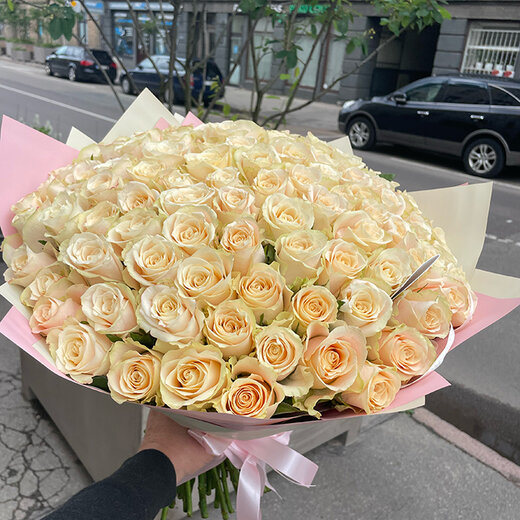 101 krēmkrāsas roze