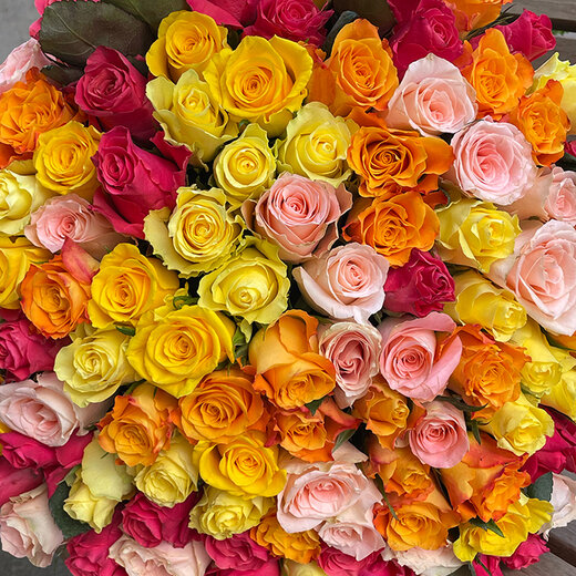 101 dažādu krāsu rožu pu&scaron;ķis