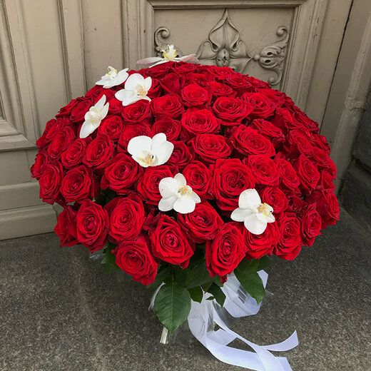 101 sarkana roze ar baltiem orhideju ziediem