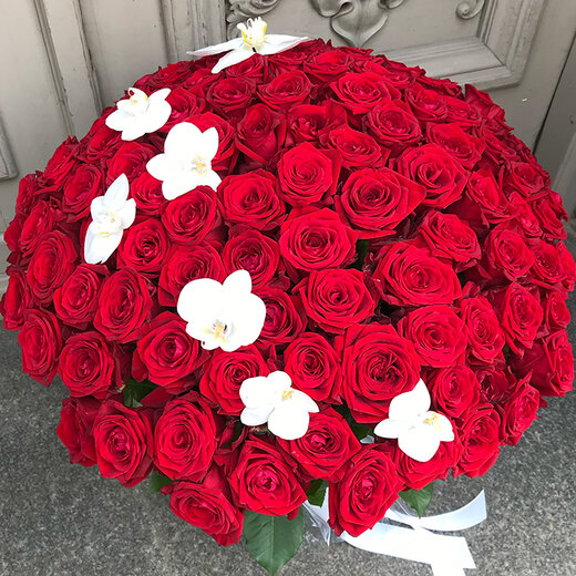 101 sarkana roze ar baltiem orhideju ziediem