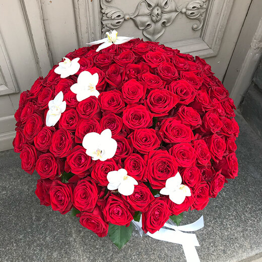 101 sarkana roze ar baltiem orhideju ziediem