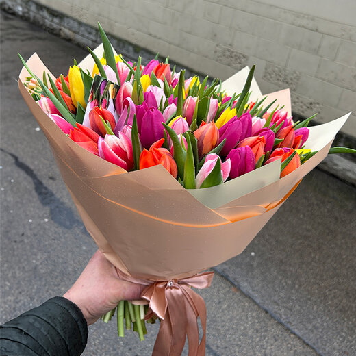 101 tulpe mix