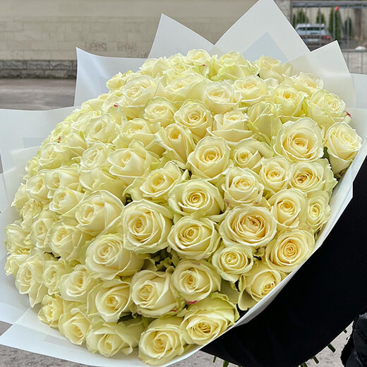 101 balta roze Avalanche