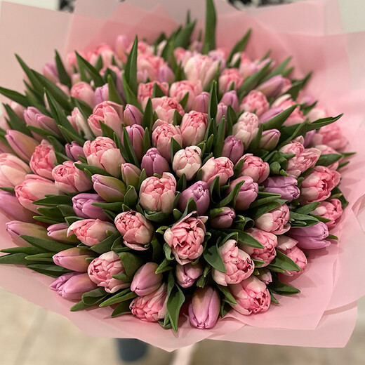 101 peony tulip