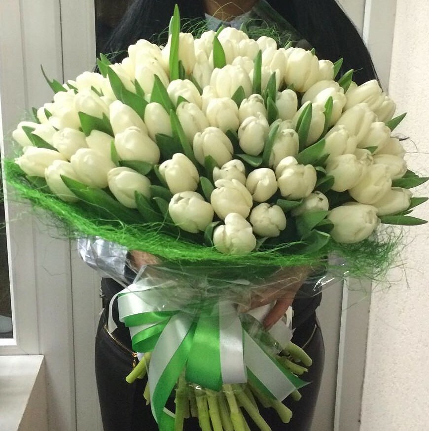 101 balta tulpe