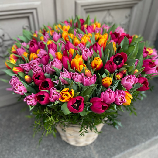 151 dažadu krāsu tulpe grozā