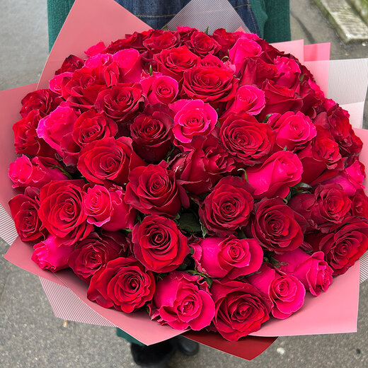 51 sarkana un aveņu krāsas roze