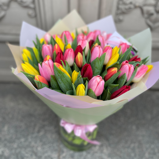 51 dažādu krāsu tulpe dekoratīvā iepakojumā