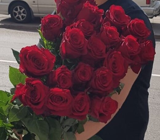 Sarkanas premium rozes Explorer 