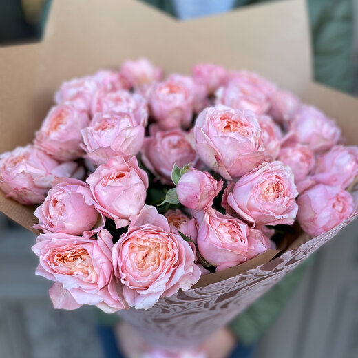 Krūmrožu pu&scaron;ķis Džuljeta