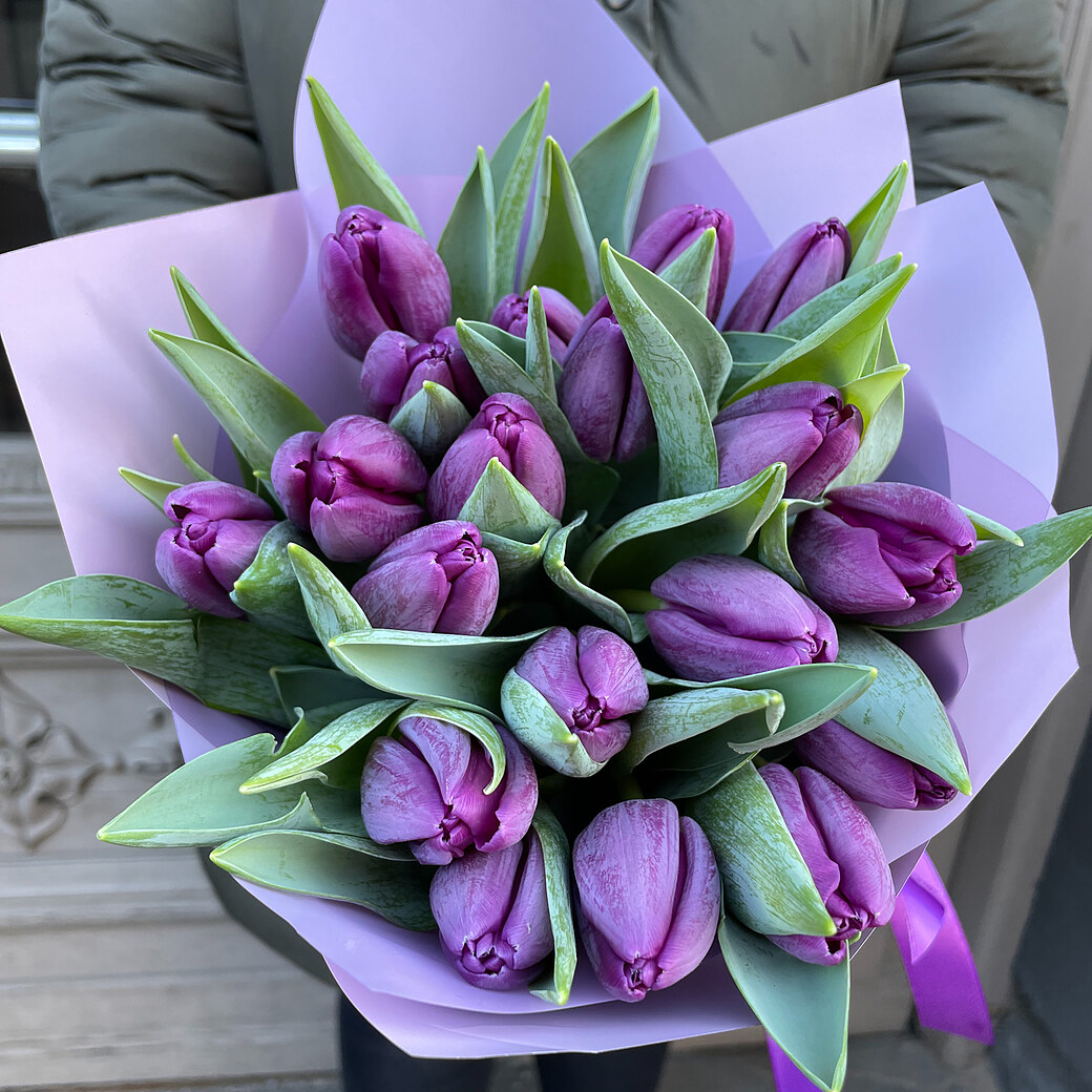 Violetas tulpes dekoratīvā iepakojumā