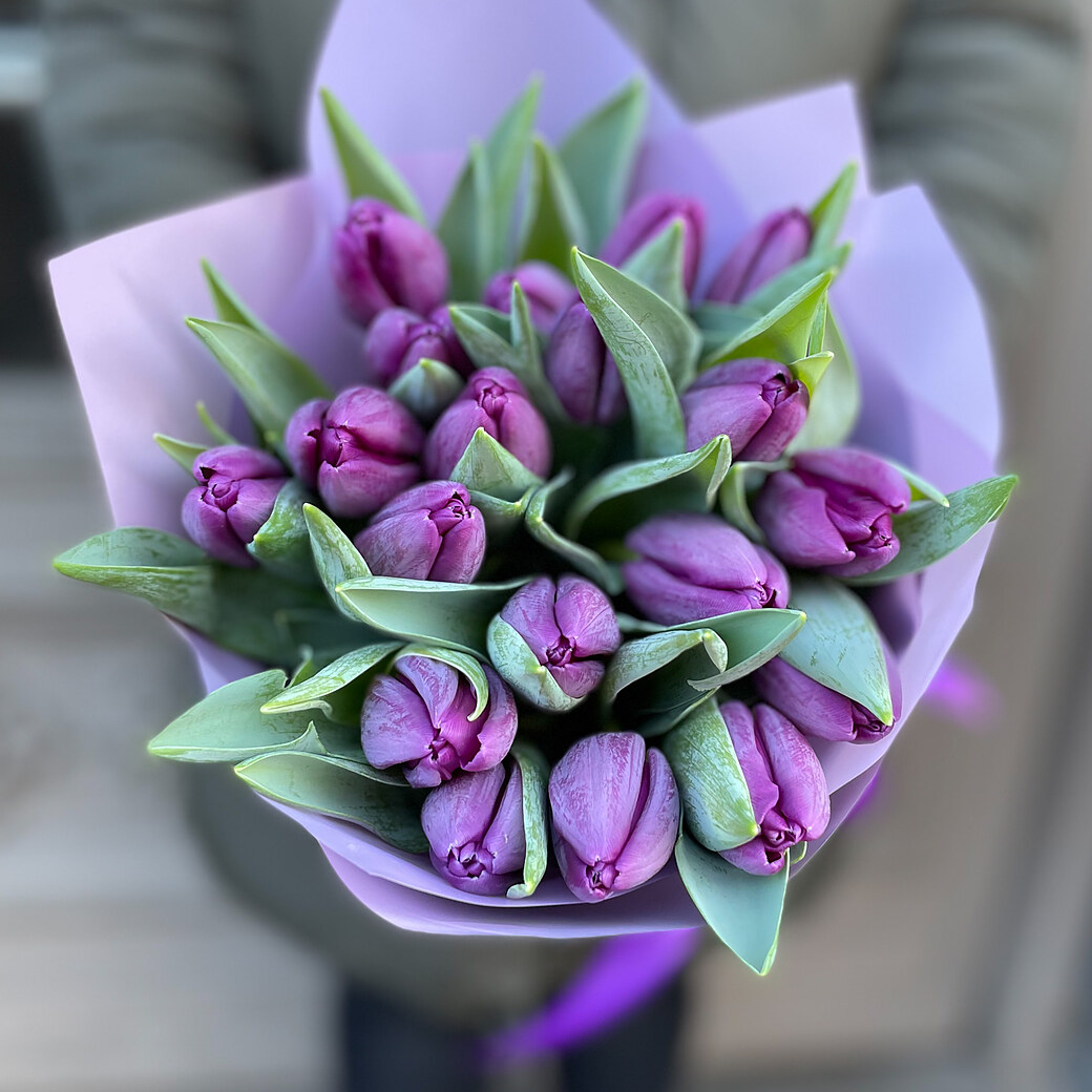 Violetas tulpes dekoratīvā iepakojumā