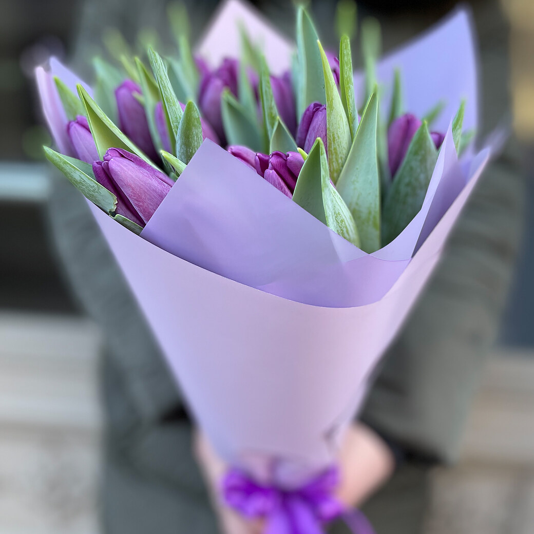 Violetas tulpes dekoratīvā iepakojumā