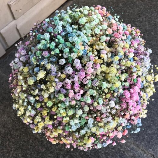 Ziedu kastīte ar ģipseni