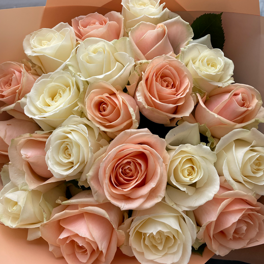 Baltu un persiku krāsas rožu mix