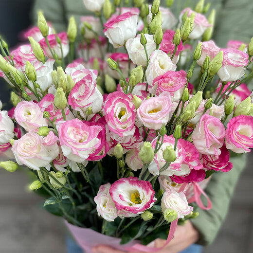 Baltas lizantes ar rozā maliņu