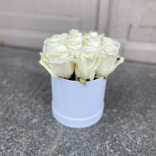 Baltas rozes apaļā kastītē