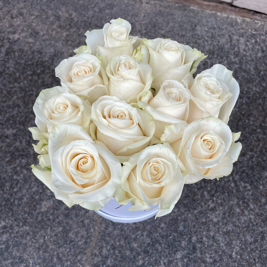 Baltas rozes apaļā kastītē