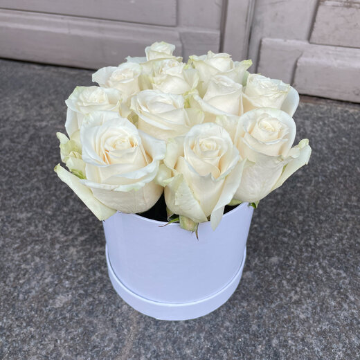 Baltas rozes apaļā kastītē