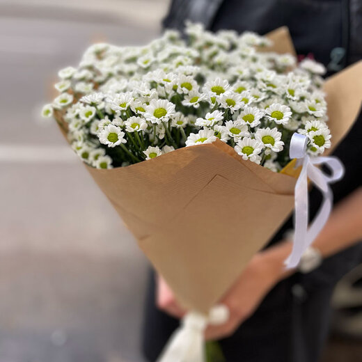 Krizantēmu pu&scaron;ķis Santini