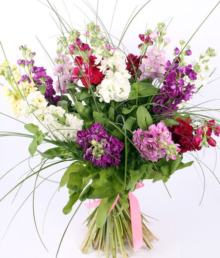 Dažādu krāsu smaržīgu lefkoju pu&scaron;ķis