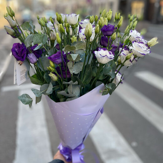 Lizantes mix ar eikaliptu