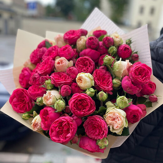 Peonijveida krūmrozes