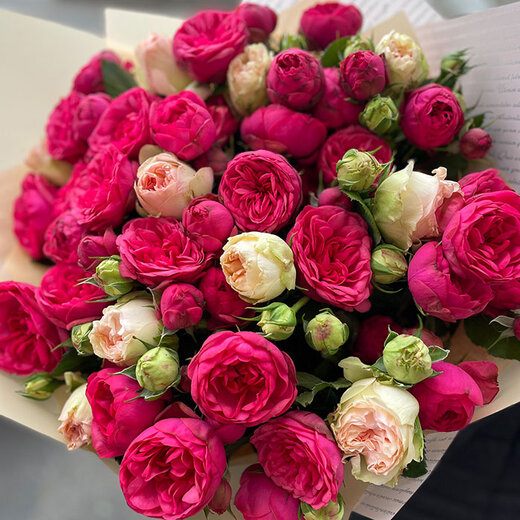 Peonijveida krūmrozes