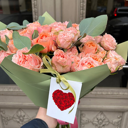 Peonijveida krūmrozes dekoratīvā iepakojumā