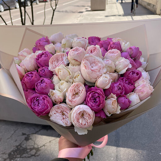 Peonijveida krūmrozes rozā, violetas mix