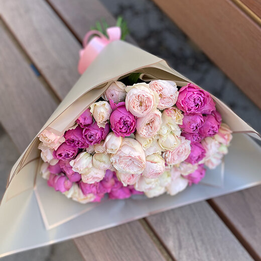 Peonijveida krūmrozes rozā, violetas mix