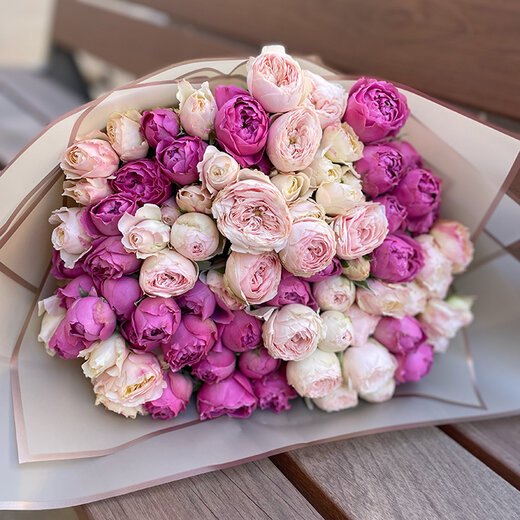 Peonijveida krūmrozes rozā, violetas mix