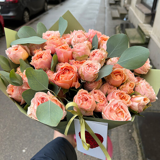 Peonijveida krūmrozes dekoratīvā iepakojumā