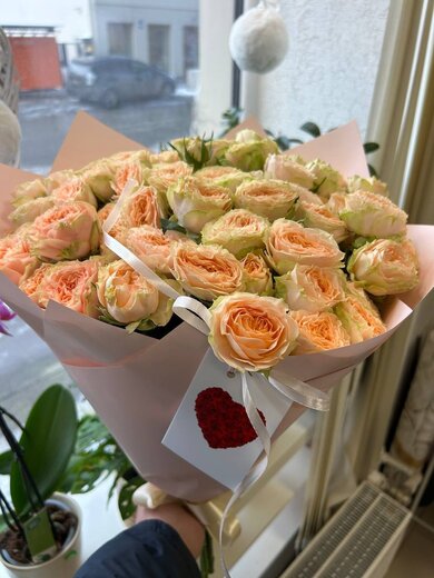 Persiku krūmrožu pu&scaron;ķis rozā iepakojumā ar baltu lenti