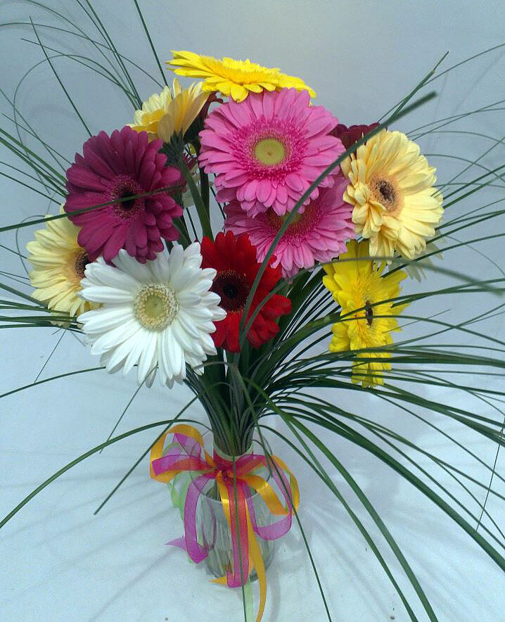Gerberas ar zaļumiem