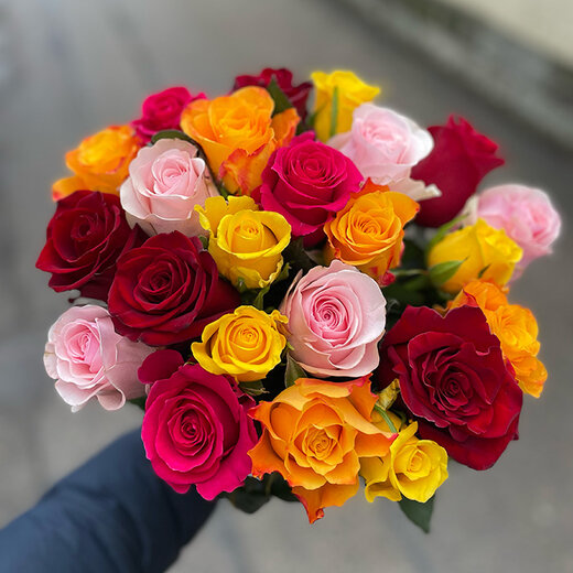 rožu pu&scaron;ķis saulstariņ&scaron;