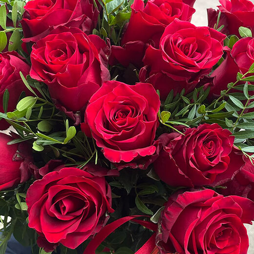 Sarkanas rozes ar zaļumiem