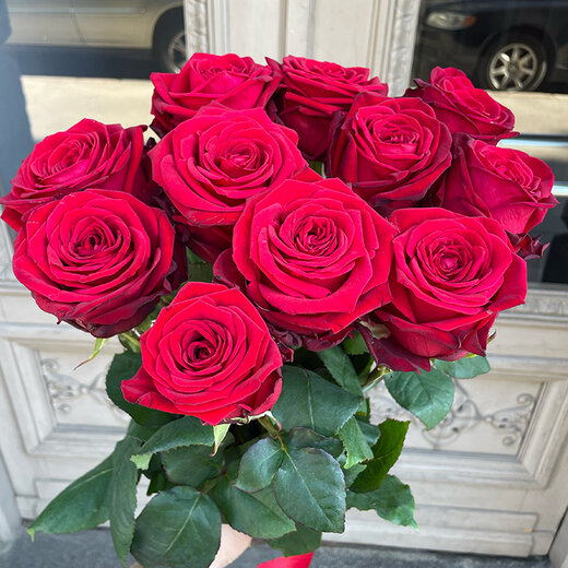 Smaržojo&scaron;as rozes Red Naomi