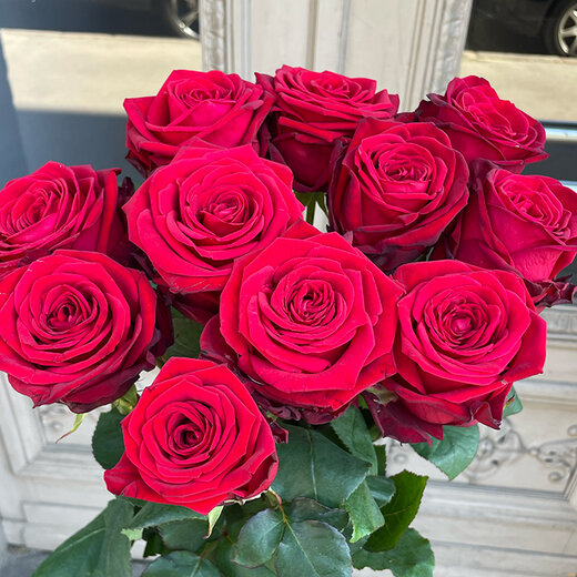 Smaržojo&scaron;as rozes Red Naomi