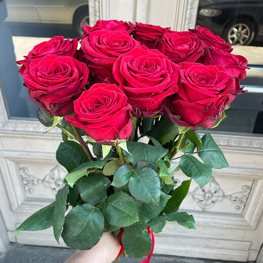 Smaržojo&scaron;as rozes Red Naomi