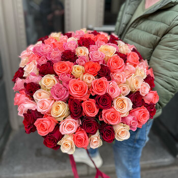 101 dažādu krāsu roze