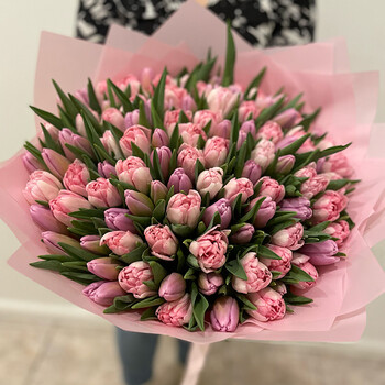 101 peonijveida tulpe
