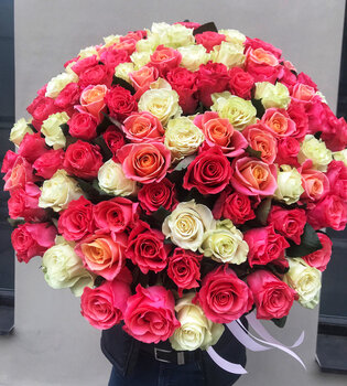 101 rozā, balta, la&scaron;akrāsas roze