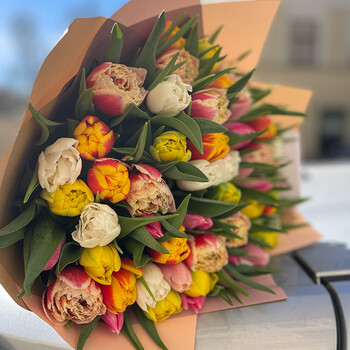 51 peonijveida tulpe