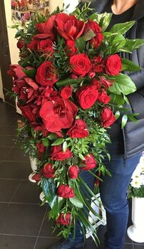 Bēru &scaron;trauss Nr.12